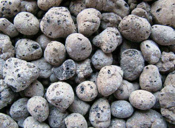 فواید پوکه معدنی برای رشد کاکتوس