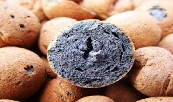 مراکز فروش پوکه صنعتی سبک شیراز