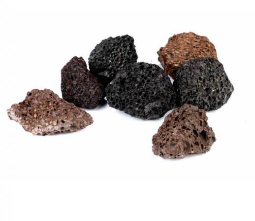 تولید کننده پوکه کاکتوس ویژه