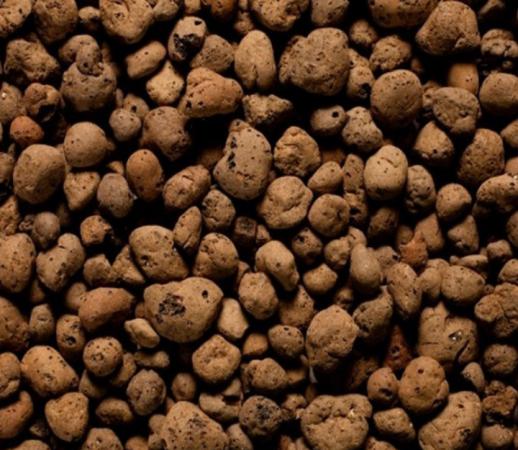 کاربرد انواع پوکه کاکتوس ارزان