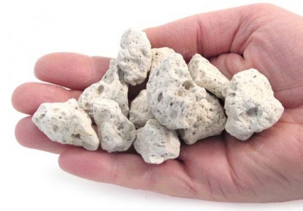 ویژگی بارز پوکه معدنی گیاهان