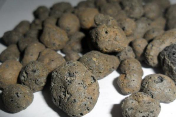 همه چیز درباره پوکه معدنی فندقی