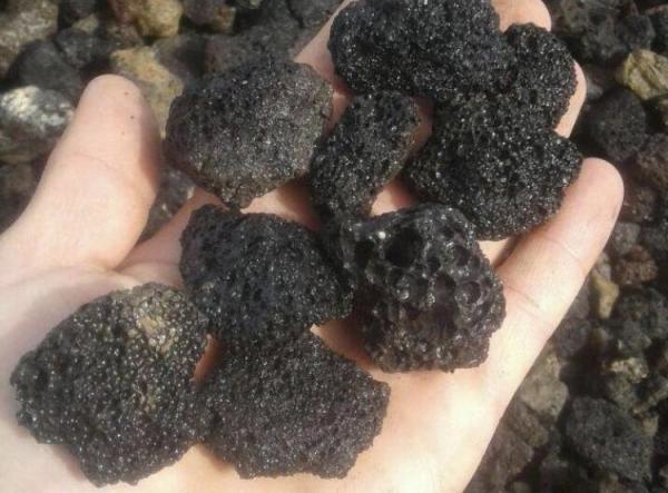 مراکز خرید پوکه بادامی ارزان