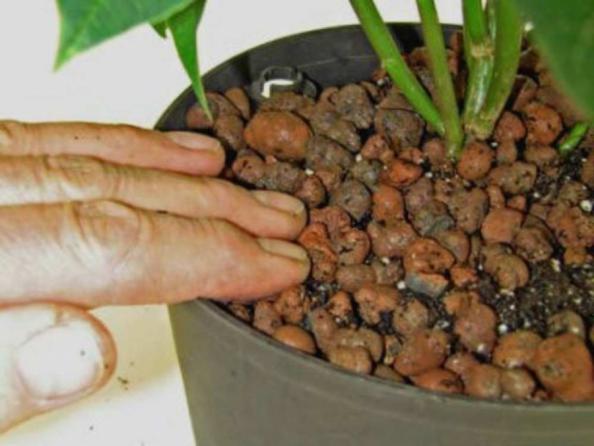 توزیع کننده پوکه معدنی شیراز