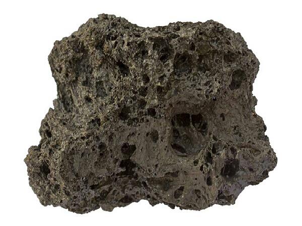 توزیع ویژه پوکه معدنی پودر