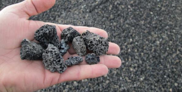 عرضه بی واسطه پوکه بادامی عمده