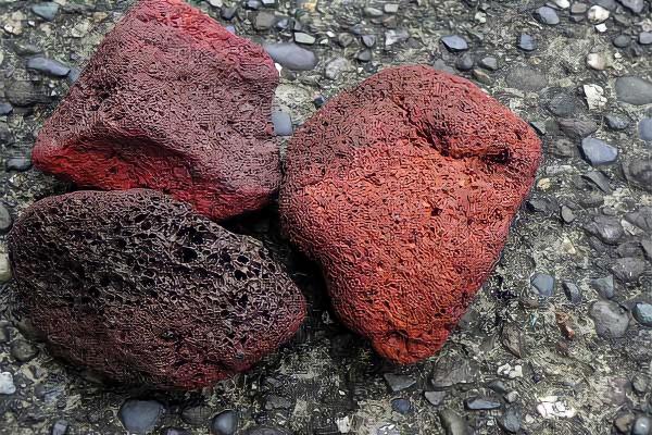 مرجع پخش پوکه صنعتی اهواز