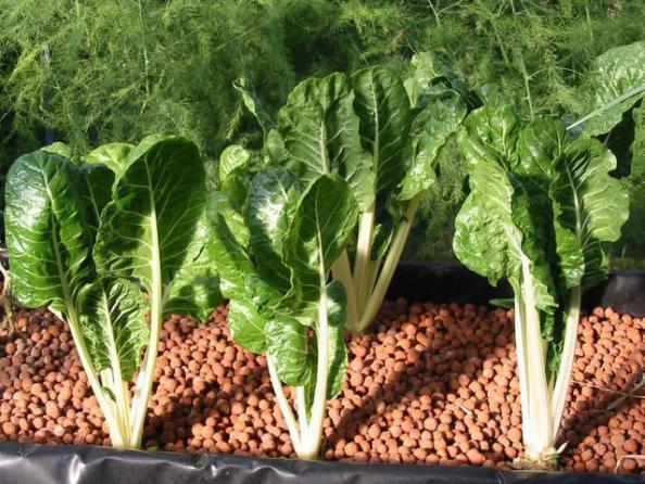 کاربرد های مختلف پوکه صنعتی سبک چیست؟