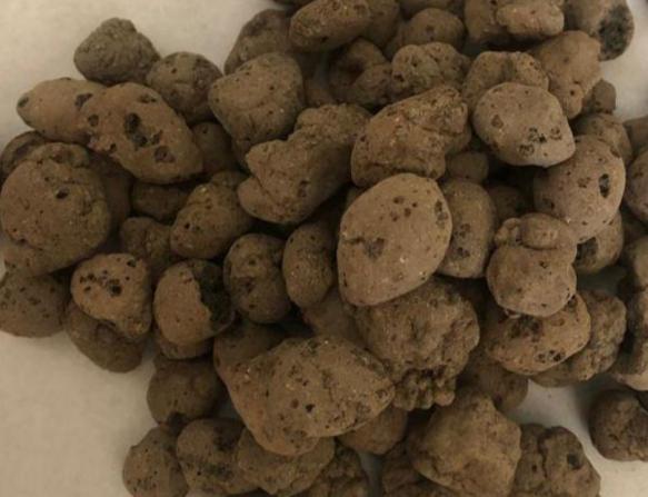 عرضه کننده پوکه معدنی مشهد