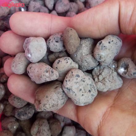 خواص پوکه معدنی برای گیاهان چیست؟